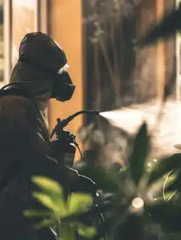 Dératisation à Rousies